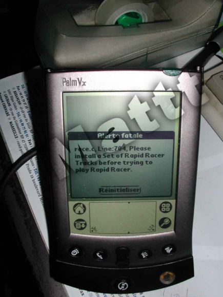 par le palm.jpg